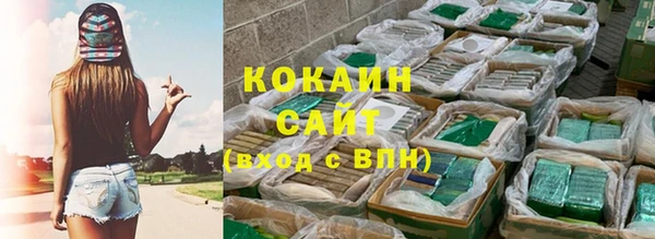 спайс Арсеньев