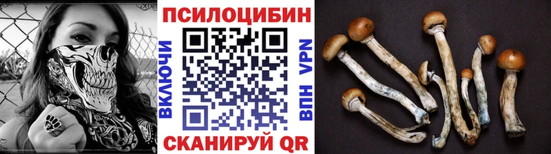 блэк спрут ONION  купить наркотики сайты  Руза  Галлюциногенные грибы Cubensis 